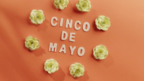 Cinco de mayo background for the party — Stok Video