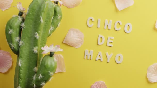 Cinco de mayo background for the party — Stok Video