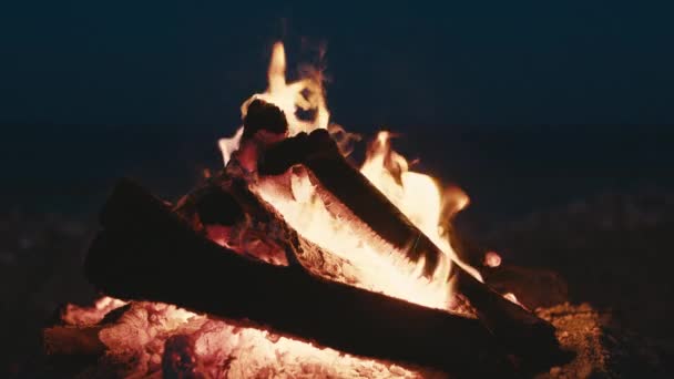Fire of a bonfire made on the beach by the sea. — Stock Video