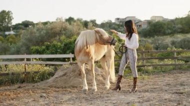 Genç, güzel bir İtalyan model kız kırsaldaki çiftlikte bir atla poz veriyor. El kamerasıyla çekim.