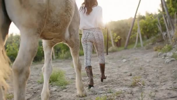 Una Joven Hermosa Modelo Italiana Posa Con Caballo Rancho Campo — Vídeo de stock