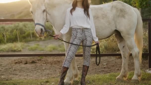 Une Jeune Belle Mannequin Italienne Pose Avec Cheval Sur Ranch — Video