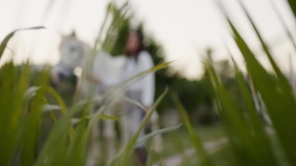 Una Joven Hermosa Modelo Italiana Posa Con Caballo Rancho Campo — Vídeo de stock