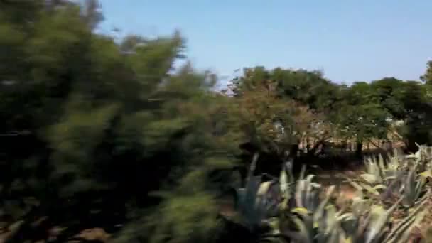 Vista Por Ventana Tren Calabria Disparo Mano — Vídeos de Stock