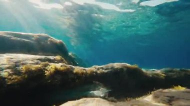 Sicilya Bölgesi, İtalya 'daki Akdeniz' e dalın