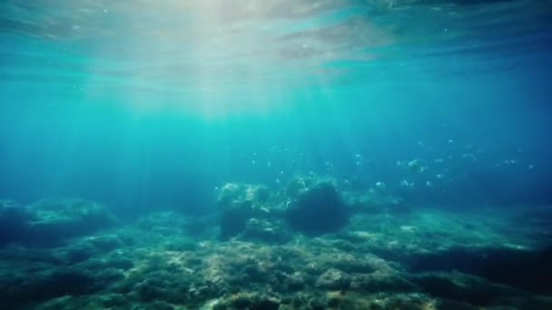 Mergulho Subaquático Com Rochas Peixes Região Calábria Itália — Vídeo de Stock