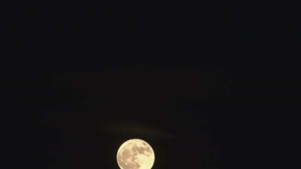 Luna Llena Saliendo Del Océano Time Lapse Disparar — Vídeos de Stock