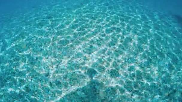Χαλαρωτικές Ακτίνες Του Ήλιου Στο Βυθό Της Θάλασσας Κουκλίτσα Γύρισμα — Αρχείο Βίντεο