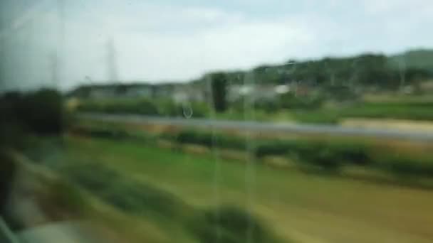 Verschwommener Blick Aus Dem Fenster Eines Der Natur Fahrenden Zuges — Stockvideo