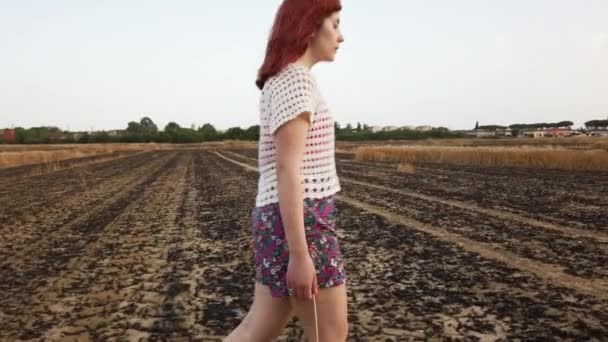 Genç Çiftçi Kadın Kurak Yanmış Bir Buğday Tarlasında Yürüyor Kamerasıyla — Stok video