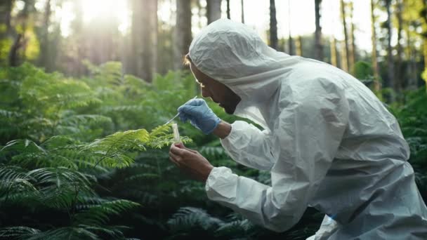 Biolog Bílém Ochranném Obleku Odebírá Vzorky Nových Rostlinách Lese — Stock video