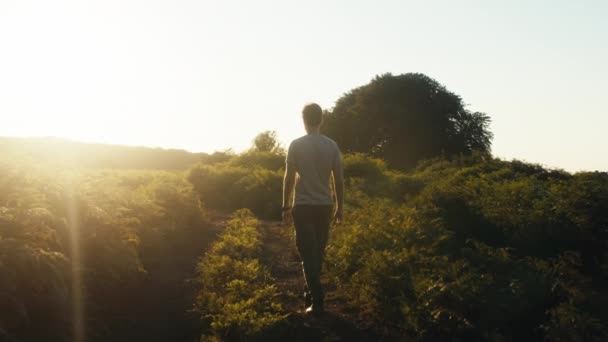Boy Walks Sunset Plain Mountains — Stockvideo