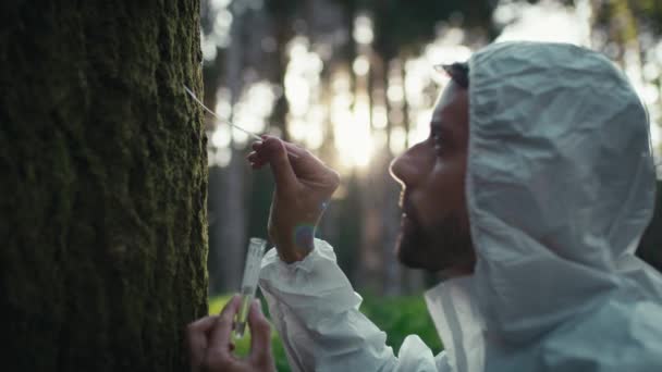 Hombre Científico Biólogo Hace Análisis Contaminación Musgo Árbol Montaña — Vídeo de stock