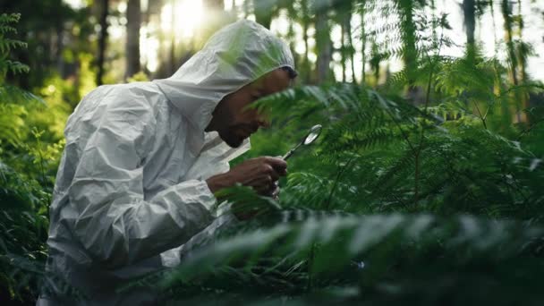 Naturwissenschaftlicher Biologe Untersucht Die Evolution Der Pflanzen Wald Mit Einem — Stockvideo