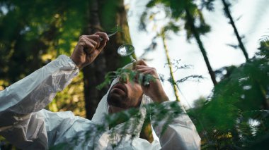 Biologist scientist analyzes the leaves of an endangered plant in the mountains.