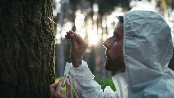 Ilmuwan Biologi Membuat Analisis Polusi Pada Lumut Pohon Gunung — Stok Foto