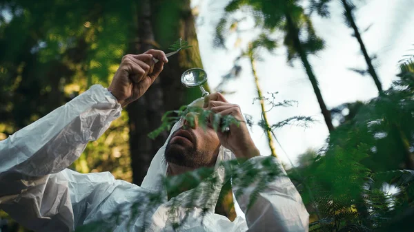 Biologist Scientist Analyzes Leaves Endangered Plant Mountains royaltyfrie gratis stockfoto