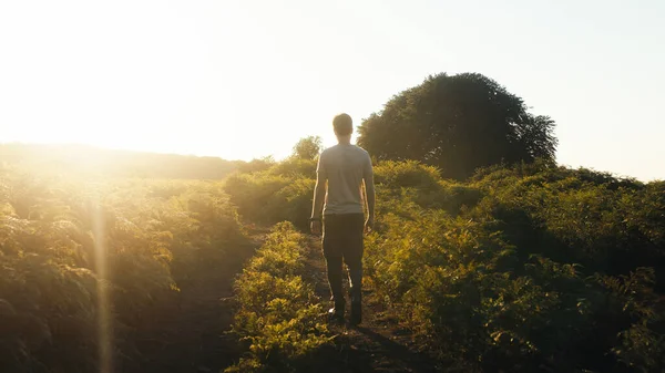 Boy Walks Sunset Plain Mountains stockbilde