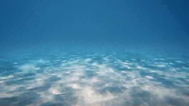 Time Lapse Underwater Seabed Ocean — Stock Video