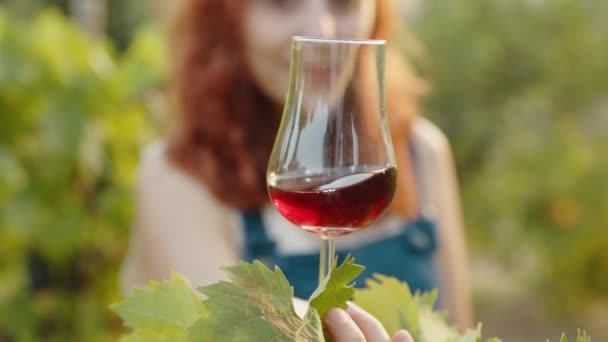 Young Beautiful Girl Goblet Red Wine Vineyards Quality Grapes — Vídeo de stock