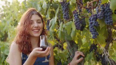 Young beautiful girl with goblet of red wine near the vineyards with quality grapes