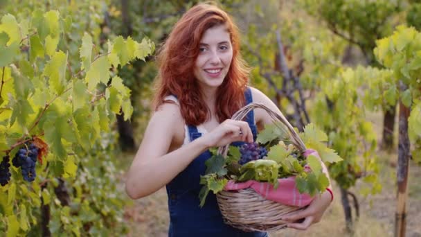 Girl Basket Grapes Harvest Countryside — 图库视频影像