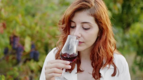 Young Woman Agronomist White Coat Checks Grape Quality Harvest — Vídeo de Stock