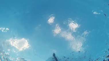 Silhouette of a boy swimming underwater with sky as background.