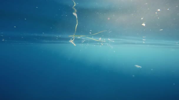 Plastic Microparticles Calm Ocean Pollution Concept — Vídeo de Stock