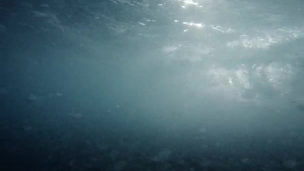 Rough Sea Waves Seen Underwater Winter — Vídeo de stock