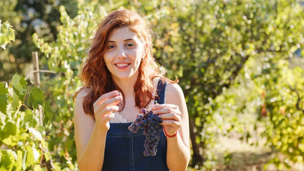 Young Girl Eats Grapes Harvest Medium Shoot – stockfoto