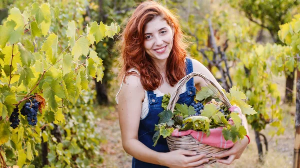 Young Girl Basket Grapes Walks Vineyards — Foto de Stock