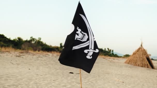 Bandeira Pirata Preta Com Símbolo Crânio Acenando Praia Perto Oceano — Vídeo de Stock