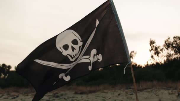 在靠近大海的海滩上摇曳着印有骷髅标志的黑色海盗旗 — 图库视频影像