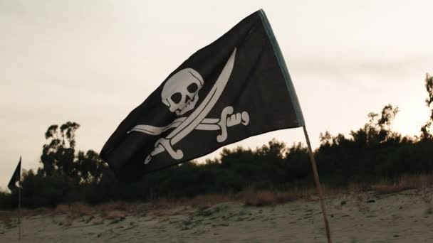 Svart Pirat Flagga Med Dödskalle Symbol Viftar Stranden Nära Havet — Stockvideo