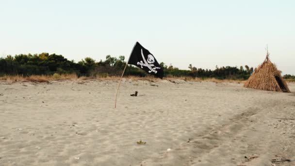 Fekete Kalóz Zászló Koponya Szimbólum Intott Strandon Közel Óceánhoz — Stock videók