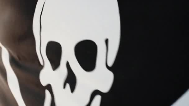 Drapeau Pirate Noir Avec Symbole Crâne Agitant Sur Plage Près — Video