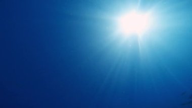 Sporcu okyanusun ortasında serbest yüzüyor..