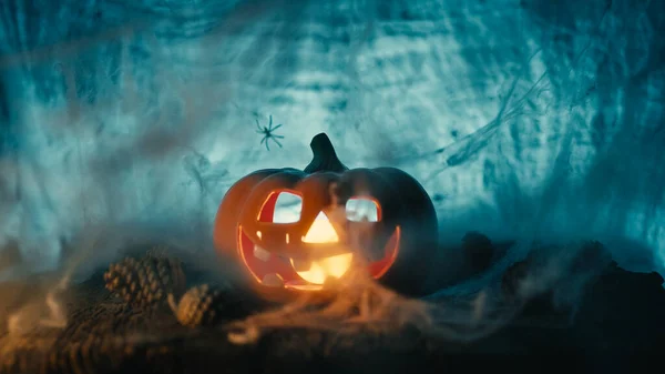 Halloween pumpkin with cobweb and scary background