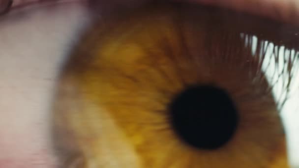 Коричневый Человеческий Глаз Человека Открывающегося — стоковое видео