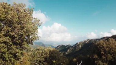 Ormandaki dağda panoramik manzara.