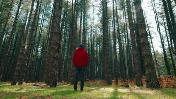 秋には赤いジャケットを着た老人が森の中を歩いている — ストック動画