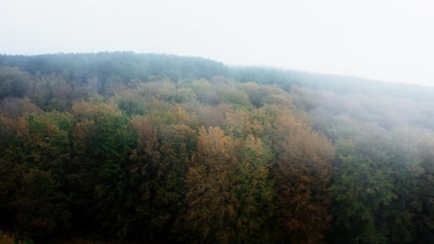 Nebeliger Herbst Bergantenne Mit Wolken Baldachin — Stockvideo
