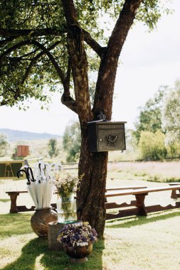 Köydeki yaz bahçesinde düğün töreni. Bahçe dekoru