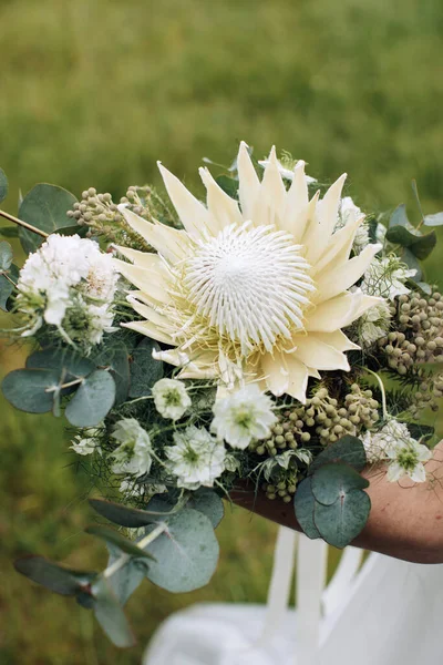 Elegan Pernikahan Karangan Bunga Protea Putih Tangan Pengantin Wanita — Stok Foto