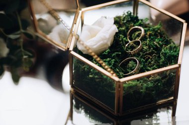 Düğün aksesuarları. Yeşil yosunların üzerindeki cam kutuda altın alyanslar.