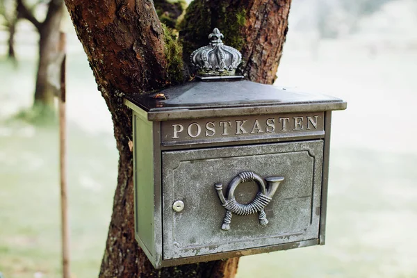 Köyün Yakınındaki Bir Ağaçta Posta Kutusu — Stok fotoğraf