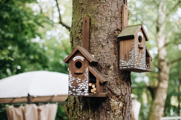 Birdhouse Jardim Uma Árvore Decoração Para Jardim — Fotografia de Stock