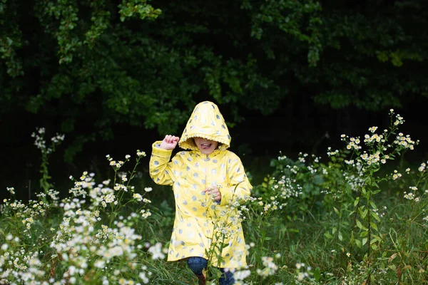 Seorang Gadis Kecil Dengan Jas Hujan Kuning Berjalan Tepi Hutan — Stok Foto