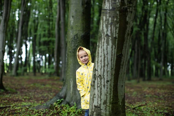 Gadis Kecil Bersembunyi Balik Pohon Hutan Hujan Musim Semi — Stok Foto